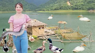 FUll VIDEO: The girl fished, built a gate, built a duck house. Build a farm on the Water.