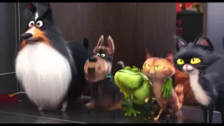 The Secret Life of Pets - Official Super Bowl TV Spot