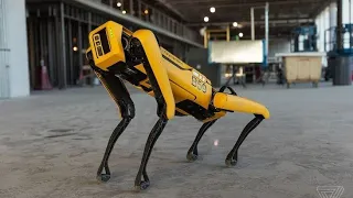 TOP 5 Most Advanced Robot Dogs you must see.