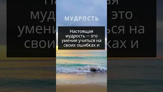 Настоящая мудрость!