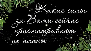 386 🍉 КАКИЕ СИЛЫ ЗА ВАМИ СЕЙЧАС ПРИСМАТРИВАЮТ. КОМУ ВЫ ИНТЕРЕСНЫ И ДЛЯ ЧЕГО | РАСКЛАД ТАРО ОНЛАЙН