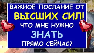 🌷 ЧТО МНЕ НУЖНО ЗНАТЬ ПРЯМО СЕЙЧАС? СОВЕТ ОТ ВЫСШИХ СИЛ. 🙏 Tarot Dream Tarot Таро Расклад