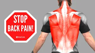How to Relieve Your WHOLE BACK Pain in Seconds