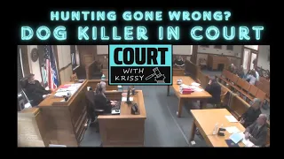 Hunting Gone Wrong? Dog Killer Takes A Plea In Wexford County Court