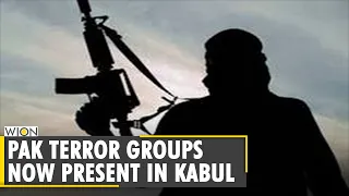 Pak-based terror groups operate out of Afghanistan, say sources | Latest English News | World