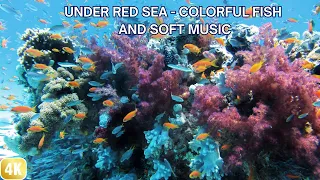 Music Underwater 4k - Music Relieves Anxiety And Stress - Unersea Nature Relaxation Film