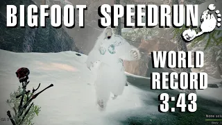 BIGFOOT - Glacier Bay Speedrun any% OLD WR (3:43)