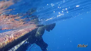 Spearfishing Croatia, Oleg Vlahov, 15.08.2017.