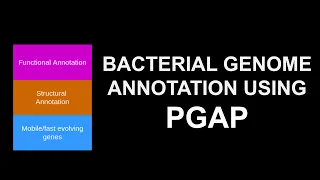 Bioinformatics for beginners | Course | Genome Assembly and annotation using PGAP | Tutorial