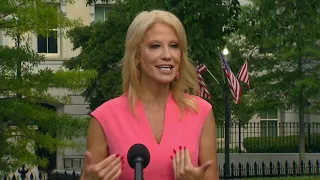 Kellyanne Conway slams Pelosi, Biden, Democrats