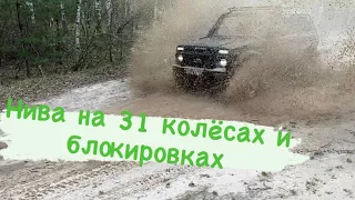 Нива на 31 колёсах