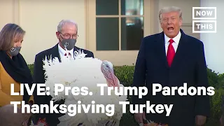 Pres. Trump Pardons National Thanksgiving Turkey | LIVE | NowThis