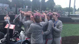 Fort Ann wins state baseball title