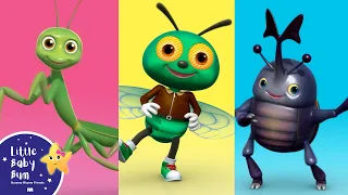 Bugs, Bugs, Bugs, Bugs | Nursery Rhymes and Kids Songs | Little Baby Bum | Animal for Kids