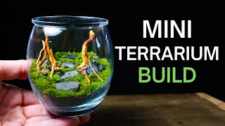 Making a Mini Ecosystem - SIMPLE & EASY Terrarium Build