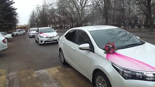 КОРТЕЖ из ПЯТИДЕСЯТИ ТОЙОТ. Свадебный кортеж Волгоград авто на свадьбу украшения для свадебных машин