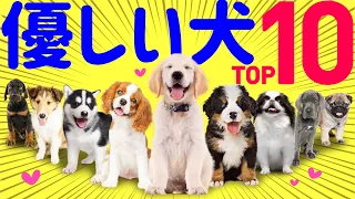 Top 10 dog breeds with gentle personalities