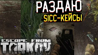 Помог Новичку на Резерве 🎥 в Escape From Tarkov?