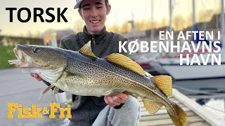 TORSK - EN AFTEN I KØBENHAVNS HAVN