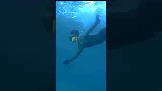 underwater dive catching and adventure