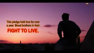 Eight Fought to Live by Florence Rosiello | Book Video Trailer