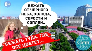 Отзывы переехавших о жизни и переезде в Краснодар ➤Реальные цены и зарплаты➤плюсы минусы🔵Просочились