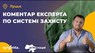 Розширений коментар по системі захисту пшениці для Луцька.