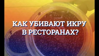 Вот почему нельзя замораживать осетровую икру! / Как правильно хранить чёрную икру?