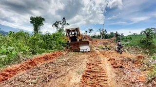 Awesome Operator Bulldozer CAT D6R XL Serving Roads in Palm Oil Plantation Land