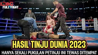 HASIL TINJU DUNIA || TEWAS DENGAN SEKALI PUKULAN || CANELO ALVAREZ VS AMIR KHAN || KNOCKOUT BOXING