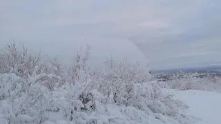 Какая погода ожидает жителей Мурманской области