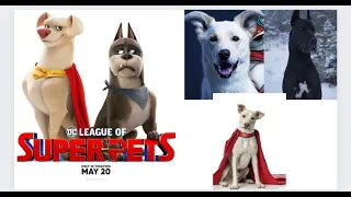 DC League of Super Pets  Batman Trailer ON REAL LIFE CARACTERS