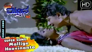 Rajkumar Sandalwood Hits - Mallige Hoovinanta