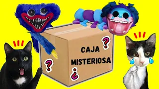 Abrimos la caja secreta y misteriosa de Poppy Playtime 2 y 3 / Videos de gatos Luna y Estrella