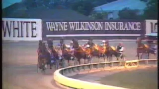 1986 Dominion Handicap - Addington, Christchurch: Tussle