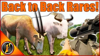 Back to Back Rares on Vurhonga Savanna Multiplayer!