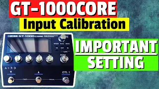 Boss GT-1000Core Input Calibration Tutorial