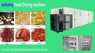 Fast & Efficient and Fully Automatic Drying Solution for Fruit and Vegetable Fish