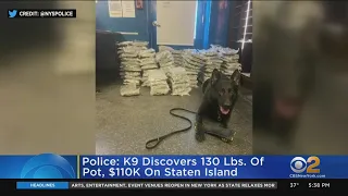 Police: K9 Discovers 130 Pounds Of Pot, $110,000 During Traffic Stop