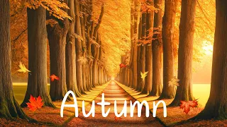 Autumn in My Heart 🍂 Gently Autumn Melody - Music for the Heart and Blood Vessels, Stress Relief