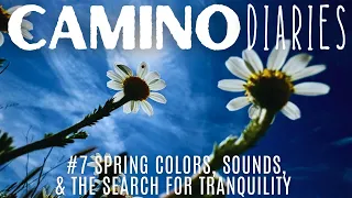 Spring Colors, Sounds & The Struggle for Tranquility: Camino Diaries #8