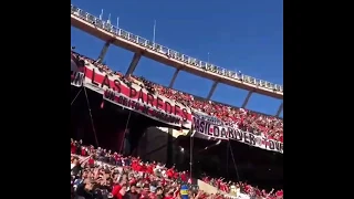Como te duele la cola desde el 9 de Diciembre | River Plate vs Boca Juniors | Superliga