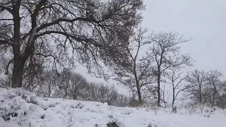 Новый год 2019 - новый снег и первые впечатления. Крым. Гвардейское - -4 января 2019 год