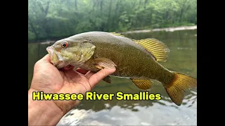 Wild River Smallmouth Bass