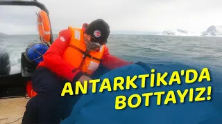 Antarktika'da Deniz Tabanını Araştırıyoruz!