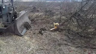 РАСКОРЧЁВКА СТАРЫХ САДОВ(корчевание деревьев трактором т-74 с лопатой).