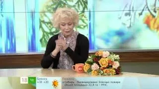 Светлана Немоляева 'Доброе утро'. Первый канал. 18.04.13