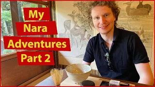 My Nara Adventures Part 2! |Nikolay on the Road|