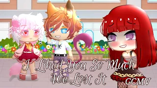I Liked You So Much, We Lost It || GCMV || Flash Warning!!