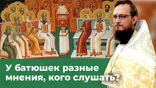 У батюшек разные мнения, кого слушать? Священник Антоний Русакевич